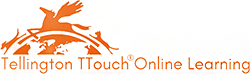 TTouch Online Learning Platform