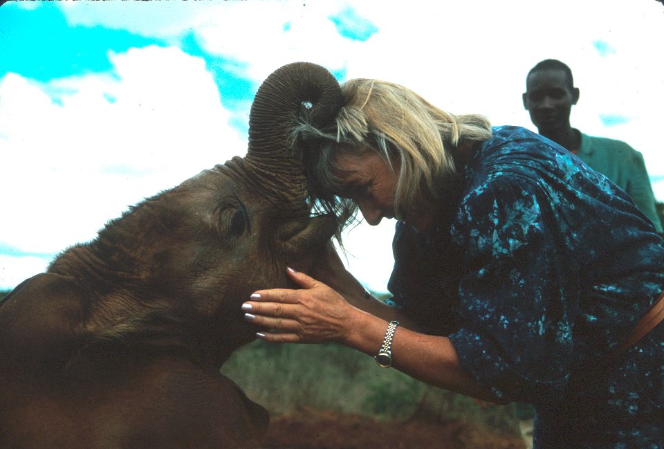Linda with an Elephant at the Sheldrick Elephant sanctuary in Kenya