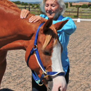 Linda Tellington-Jones works her magic hands on a relaxed horse