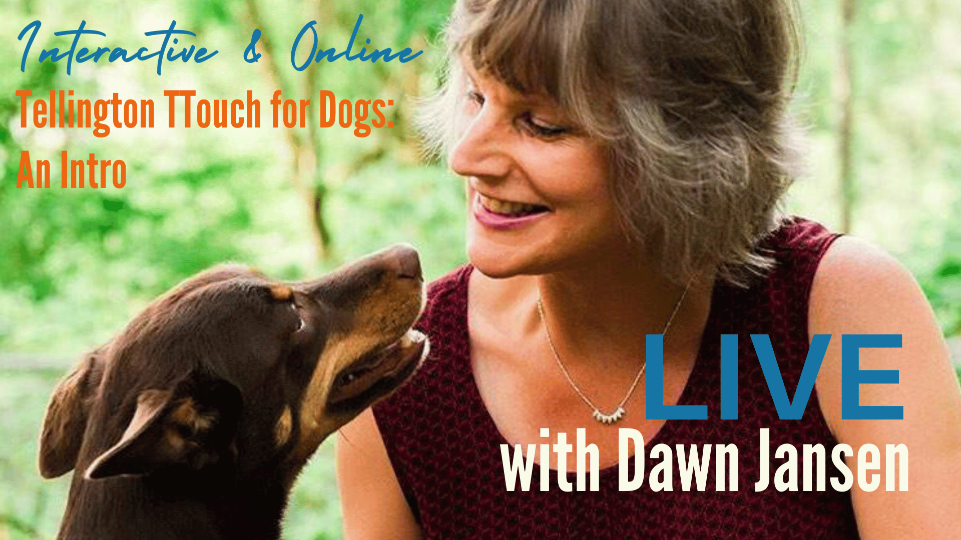 TTouch for dog with Dawn Jansen