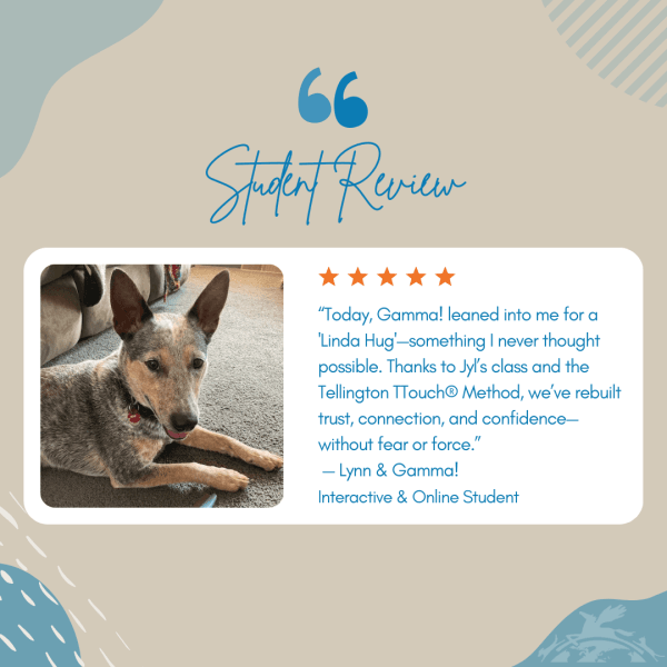 Student decribes her positive experience from a TTouch class with Jyl Hershman Ross